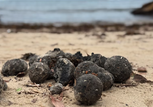 image of #SaveBeachwatch